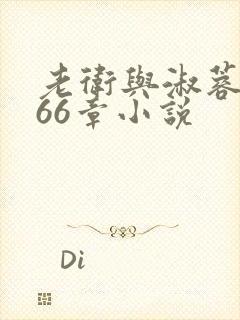 老卫与淑蓉全集66章小说