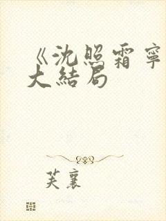 《沈照霜宁砚》大结局