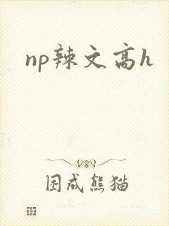 np辣文高h