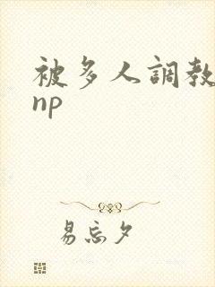 被多人调教玩弄np