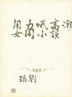 用力哦高潮喷了女同小说封面