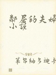 邻居的夫妇交换小说