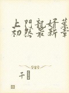 上门龙婿叶辰萧初然最新章节列表