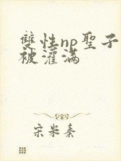 双性np圣子受被灌满