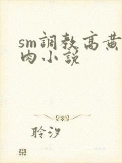 sm调教高黄纯肉小说