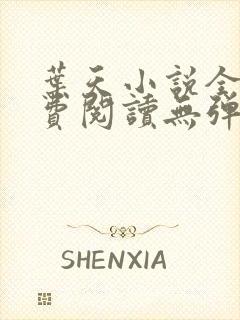 叶天小说全文免费阅读无弹窗