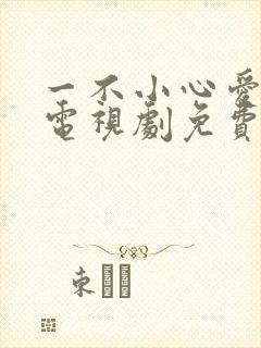 一不小心爱上你电视剧免费观看全集完整版