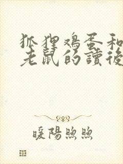 狐狸鸡蛋和两只老鼠的读后感