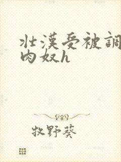 壮汉受被调教成肉奴h