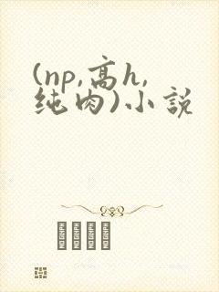(np,高h,纯肉)小说