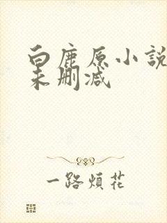 白鹿原小说原著未删减