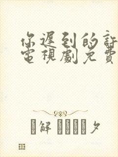 你迟到的许多年电视剧免费全集