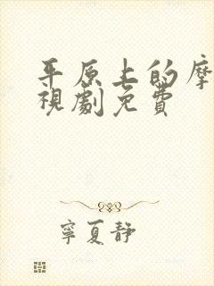 平原上的摩西电视剧免费