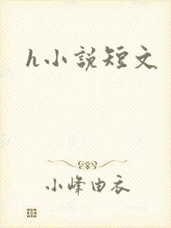 h小说短文
