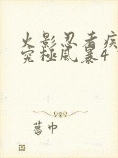 火影忍者疾风传究极风暴4 下载