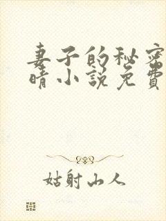 妻子的秘密韩雅晴小说免费阅读