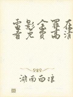 电影余罪在线观看免费高清封面