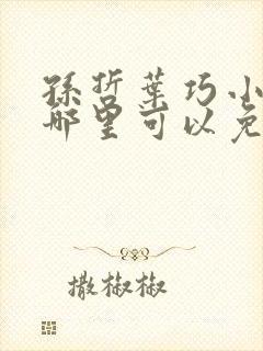 孙哲叶巧小说在哪里可以免费阅读