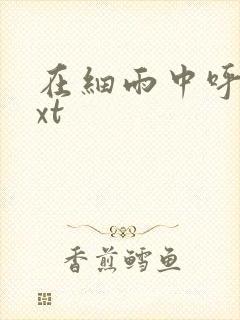 在细雨中呼喊txt