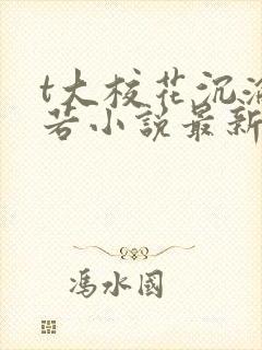 t大校花沉沦陈若小说最新章节更新内容封面