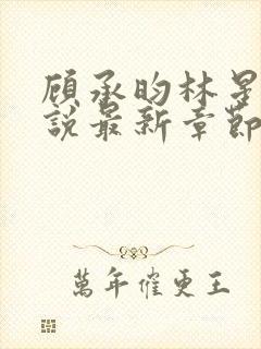 顾承昀林星禾小说最新章节免费阅读