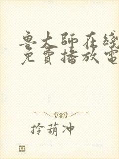 鲁大师在线观看免费播放电视剧软件