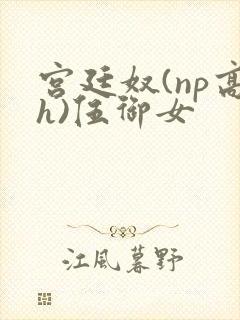 宫廷奴(np高h)伍御女