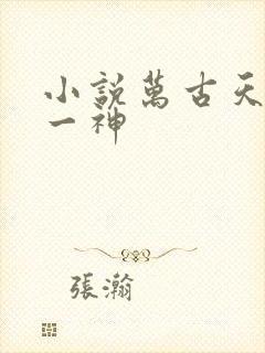 小说万古天帝第一神
