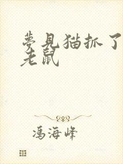 梦见猫抓了两只老鼠