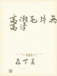 高潮毛片无遮挡高清