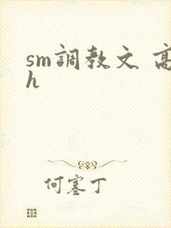 sm调教文 高h