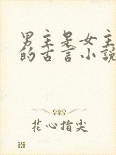 男主是女主夫子的古言小说