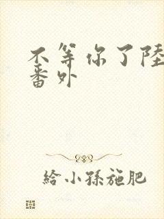 不等你了陆京泽番外