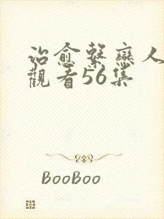 治愈系恋人免费观看56集封面