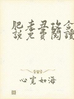 肥老丑攻合集小说免费阅读全文