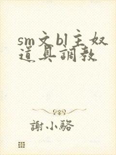 sm文bl主奴道具调教