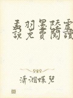 孟羽墨陆震南小说免费阅读最新章节