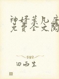 神婿叶凡唐若雪免费全文阅读封面