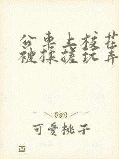 公车上校花双乳被揉搓玩弄小说