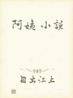 阿姨 小说