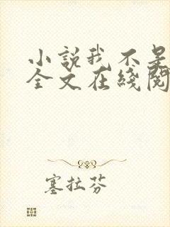 小说我不是戏神全文在线阅读