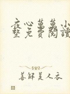 夜心万万小说完整免费阅读全文