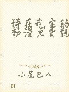 待在我家的辣妹动漫免费观看全集