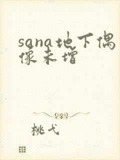 sana地下偶像未增