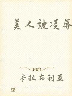 美人被凌辱封面