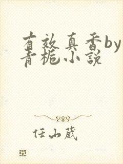 有效真香by酌青栀小说