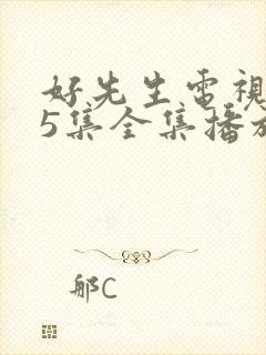 好先生电视剧45集全集播放免费