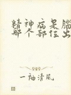 精神病是脑子的哪个部位出问题