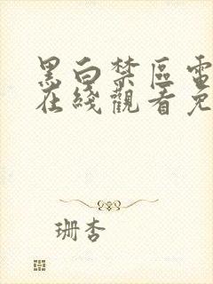 黑白禁区电视剧在线观看免费封面