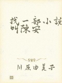 找一部小说主角叫陈安